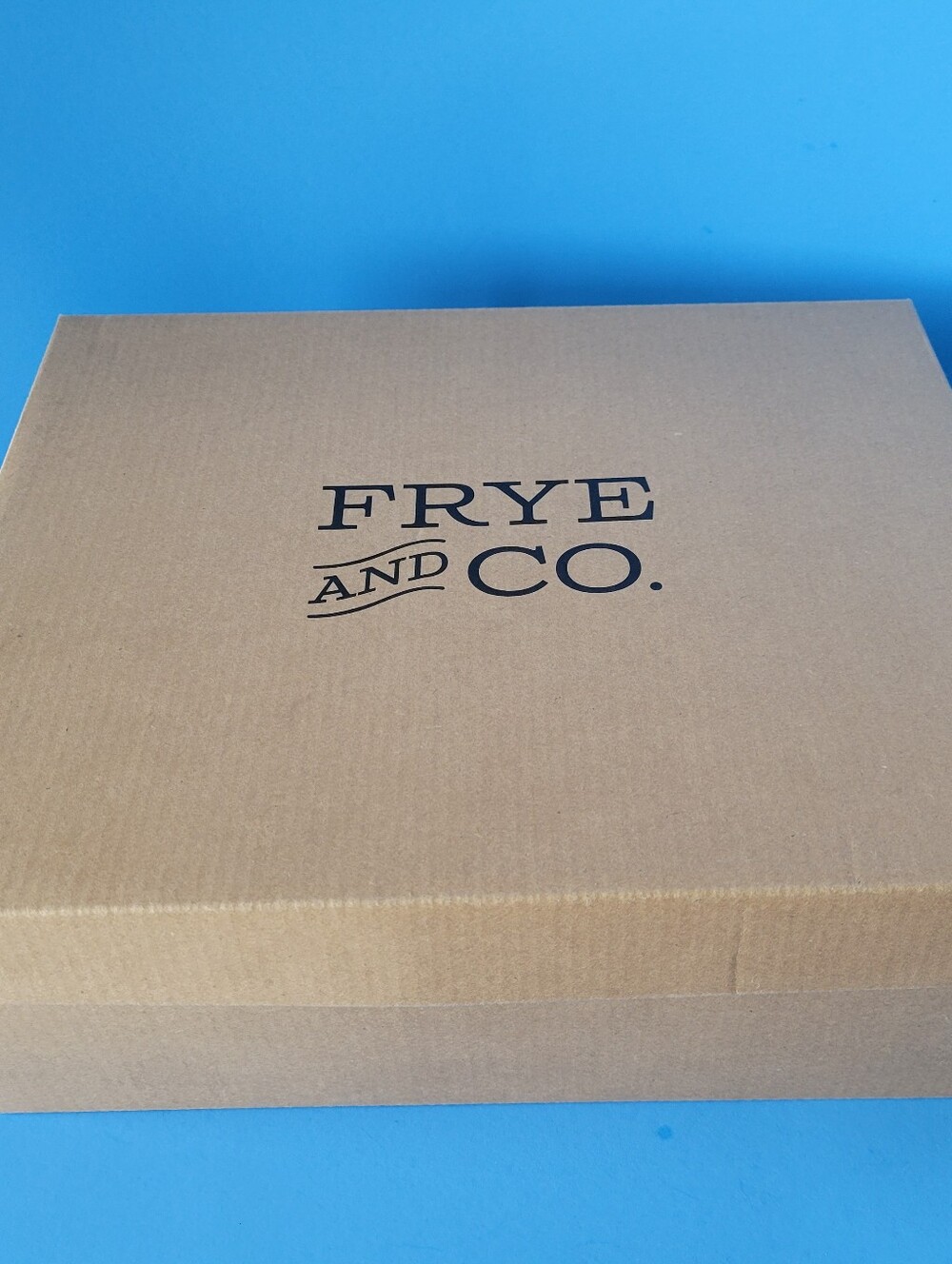 Frye & Co Heel Booties Boots Conley Woman's 9.5 M Black Side Zipper NWT New NIB - Picture 10 of 12